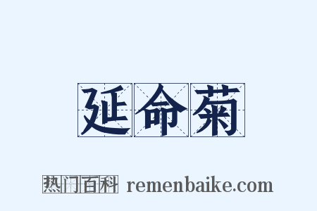 延命菊是什么意思的图片